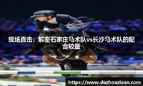 维基体育官方网站